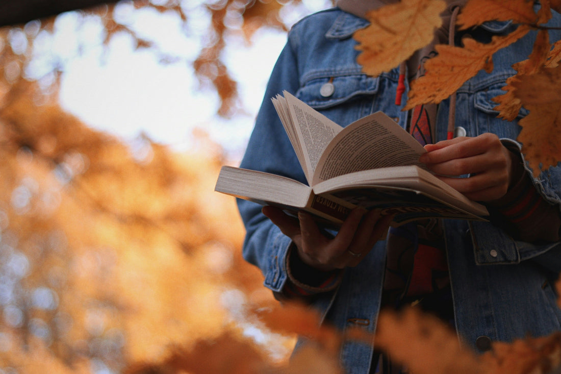 Best Cozy Books to Read This Fall