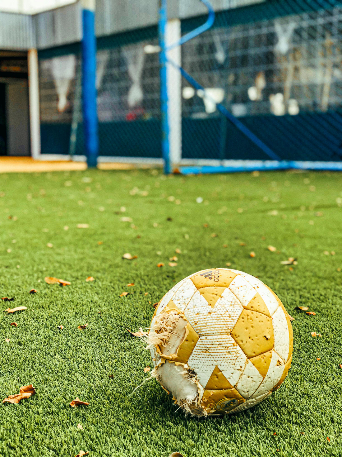 Manga Spotlight: Blue Lock – The Soccer Series Redefining Sports Manga