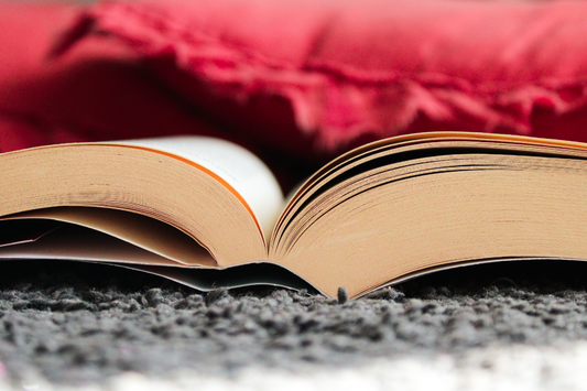 The Most Popular Light Novel Adaptations (That Became Anime & Manga)
