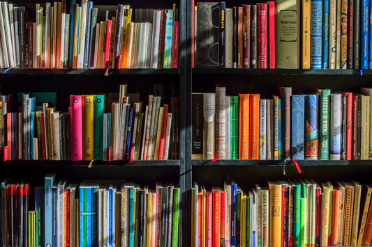 Top Differences Between Light Novels, Web Novels, and Traditional Books