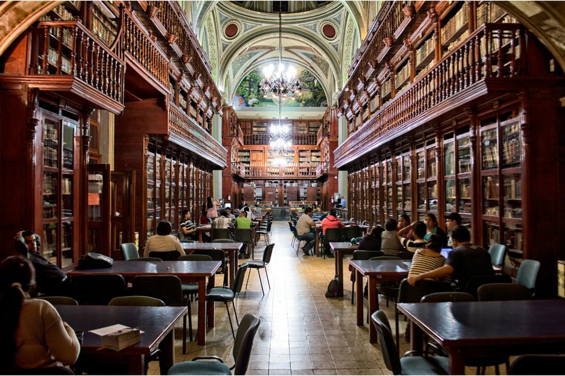 Why Reading Is Important: 7 Reasons to Pick Up a Book Today